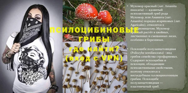 скорость Шали