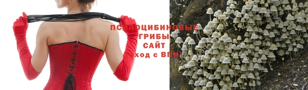 гидропоника Чекалин