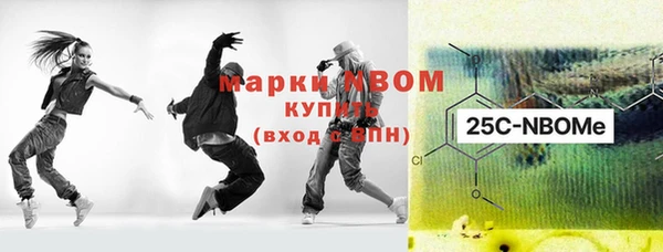 гашик Шадринск