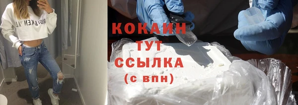гашик Шадринск