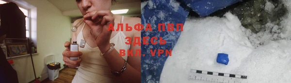 скорость Шали