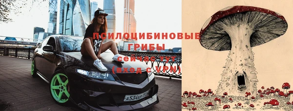 стафф Шарыпово