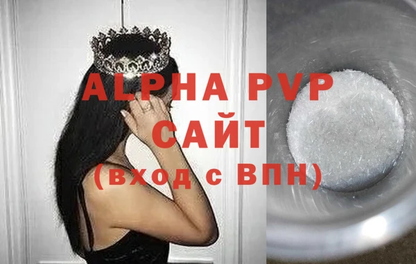 скорость Шали