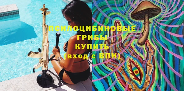 стафф Шарыпово