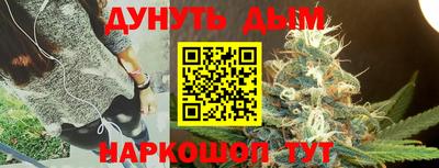 крисы Абакан