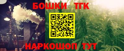 крисы Абакан