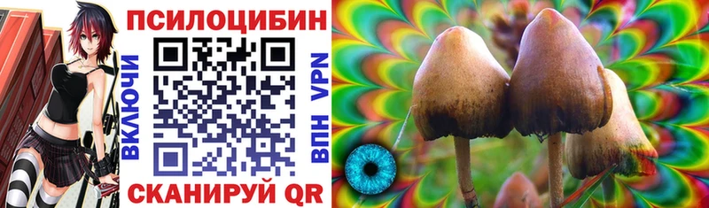 Галлюциногенные грибы Cubensis  купить наркотики цена  Ангарск 