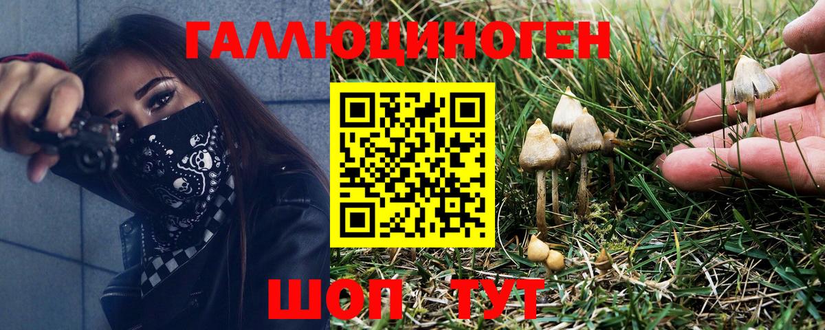 Галлюциногенные грибы прущие грибы  Галлюциногенные грибы MAGIC MUSHROOMS  дарнет шоп  Ангарск 