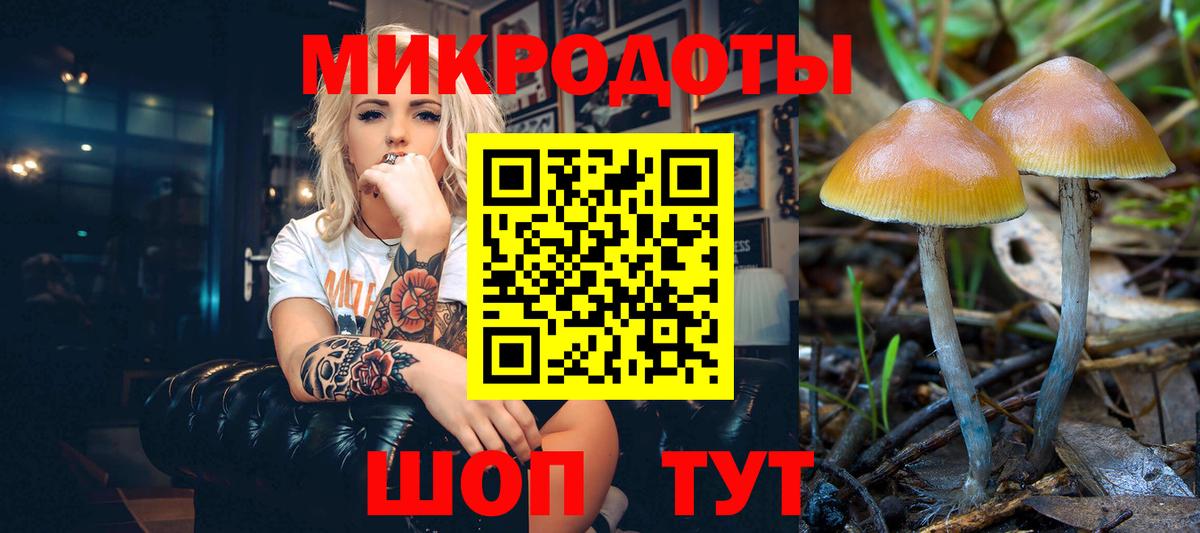 Ангарск  Псилоцибиновые грибы мухоморы  Вход с VPN 