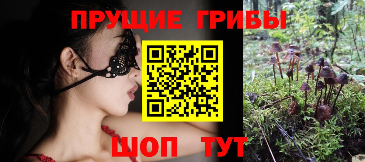 Псилоцибиновые грибы Magic Shrooms Ангарск